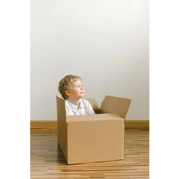 Cardboard Box