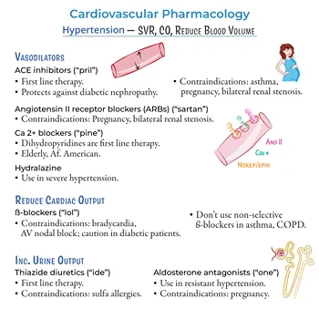 Cardivascular Drugs