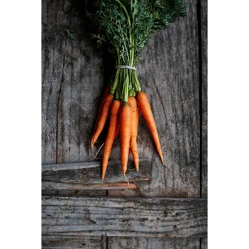 Fresh Red Carrot