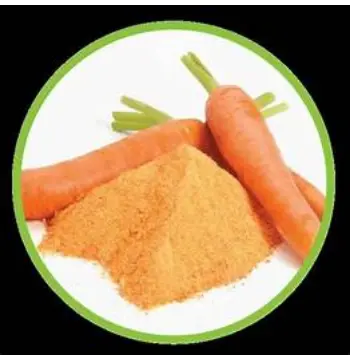 Natural Carrot Powder