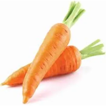 Common Fresh Carrot