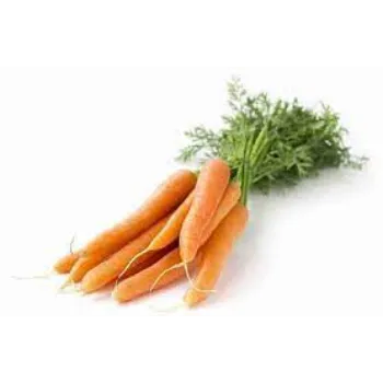 Organic Red Carrot