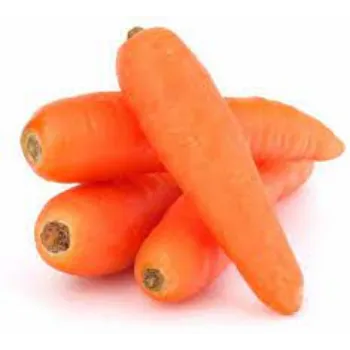 Natural Fresh Carrot