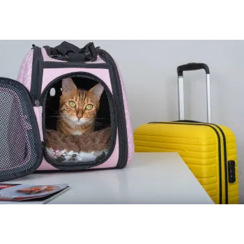 Cosmos Carry Luggage