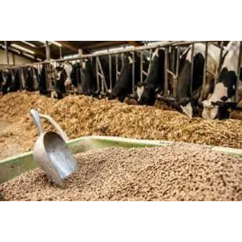 Organic Cattle Feed