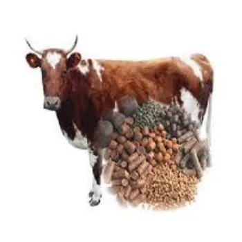 Cattle Feed Supplement
