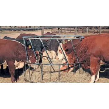 Cattle Feed Supplement