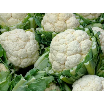 Natural Cauliflower