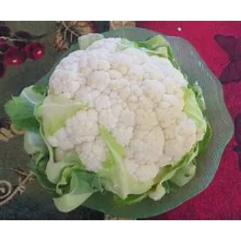 Natural Cauliflower