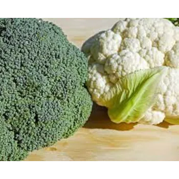 Organic Fresh Cauliflower