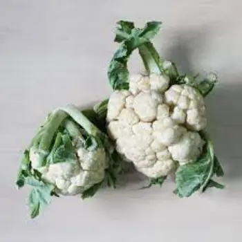Common Fresh Cauliflower