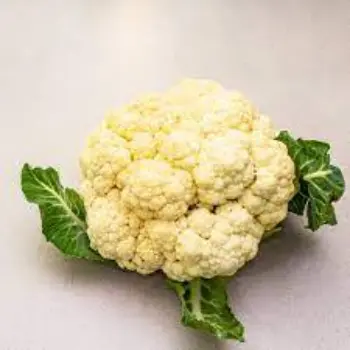 Common Cauliflower
