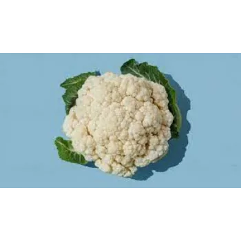 Common Cauliflower