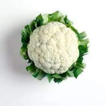 Natural Cauliflower