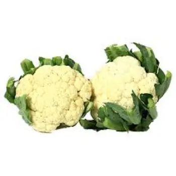 Common Fresh Cauliflower
