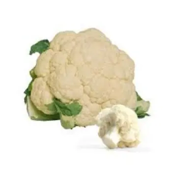 Common Cauliflower