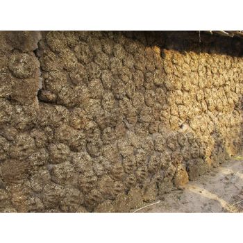 Cow Dung Cake