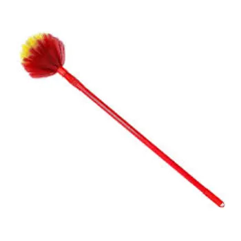 Common Ceiling Brooms