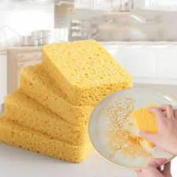 A N Cellulose Sponge