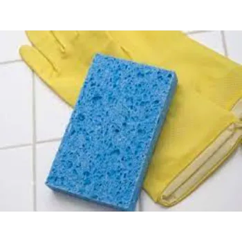 Shreyan Cellulose Sponge