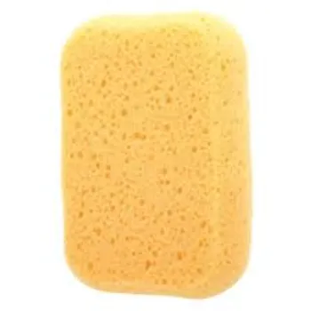 Roshani Cellulose Sponge