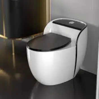 Coated Ceramic Toilet
