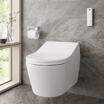 Polished Ceramic Toilet