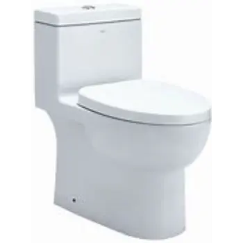 Solid Ceramic Toilet