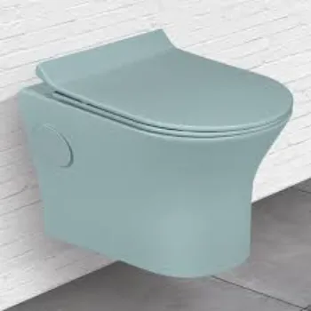 Solid Ceramic Toilet