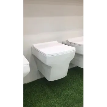 Coated Ceramic Toilet