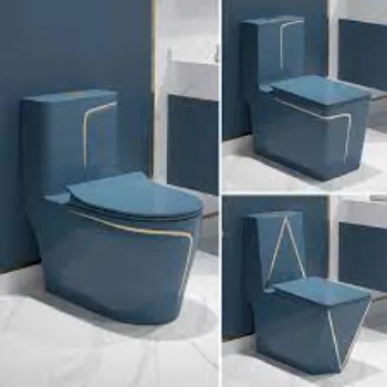 Gulshan Ceramic Toilet