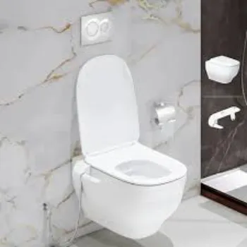 Coated Ceramic Toilet