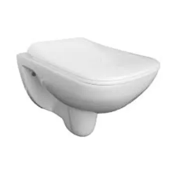 Plain Ceramic Toilet