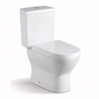 Polished Ceramic Toilet