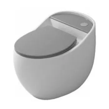 Solid Ceramic Toilet