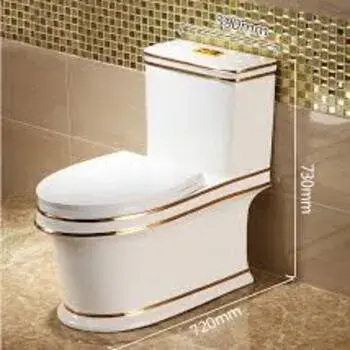 Ceramic Toilet