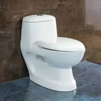 White Ceramic Toilet