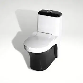 Ceramic Toilet