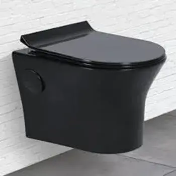 Worldwave Polished Ceramic Toilet 