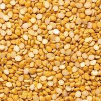 Common Chana Dal