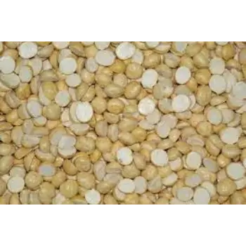 Common Chana Dal
