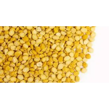 Common Chana Dal