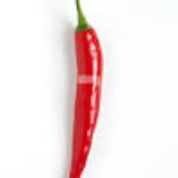 Common Red Chilli