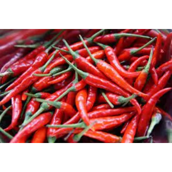 Organic Dried Red Chilli