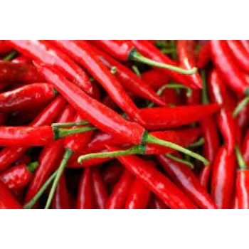 Fresh Red Chilli