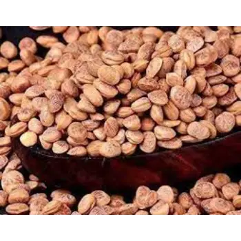 Natural Chironji Manufacturer and Exporter