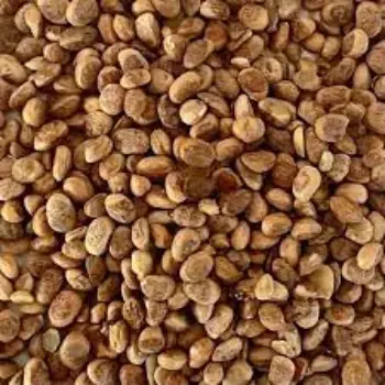 Natural Chironji