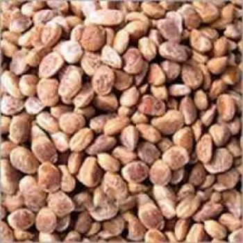 Natural Chironji