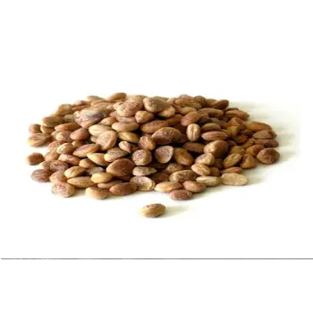 Organic Chironji