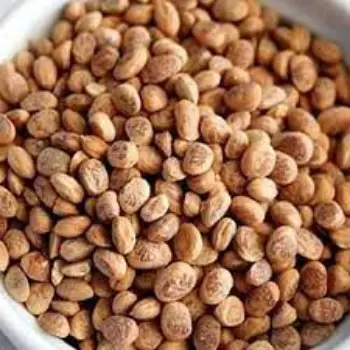 Natural Dried Chironji